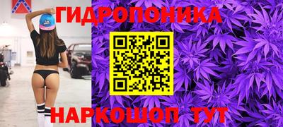 шишки Коммунар