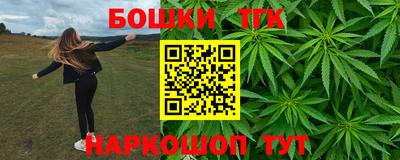 шишки Коммунар