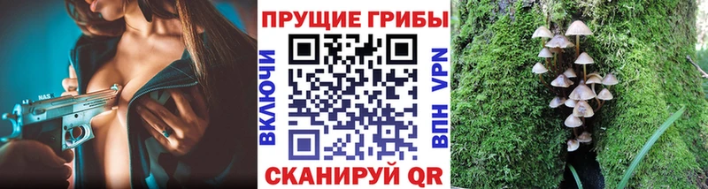 omg сайт  Кашира  Псилоцибиновые грибы Cubensis 