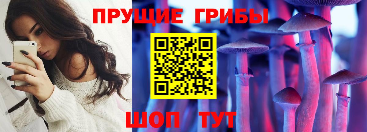 Псилоцибиновые грибы Psilocybine cubensis  Вход с VPN  Кашира  Галлюциногенные грибы Psilocybine cubensis 